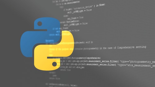 INSPECT (Python Scripting) eLearning product photo