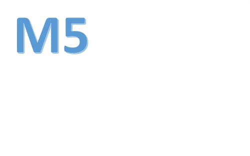M5